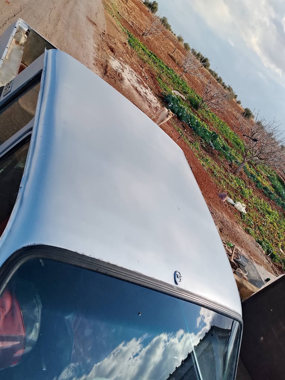 داسيا بيكاب 1996 - صورة 1