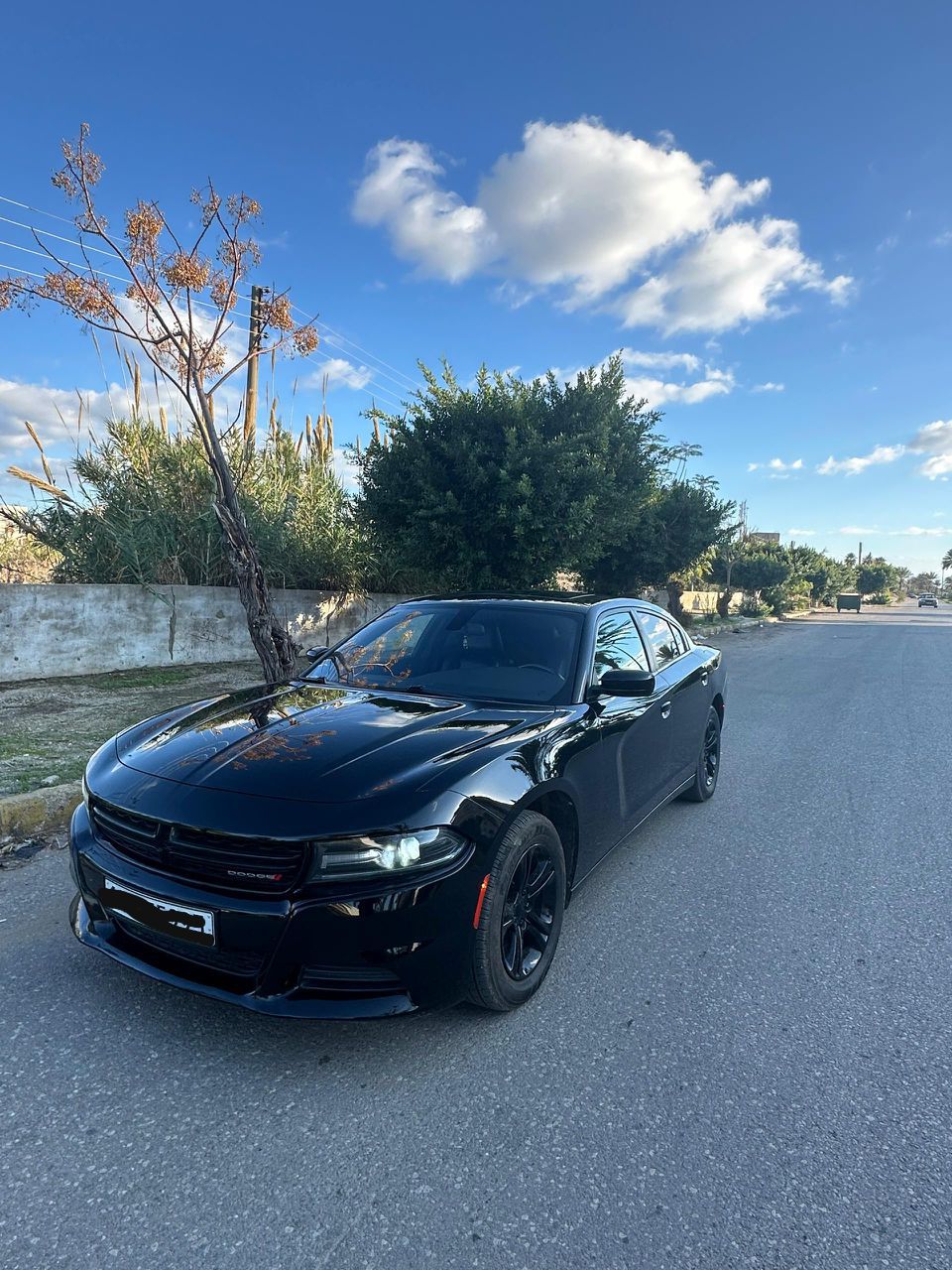 دودج تشارجر SXT 2020 - صورة 4