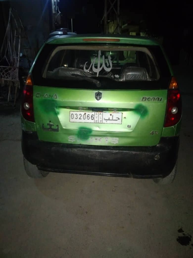 شانا بيني 2008 - صورة 2