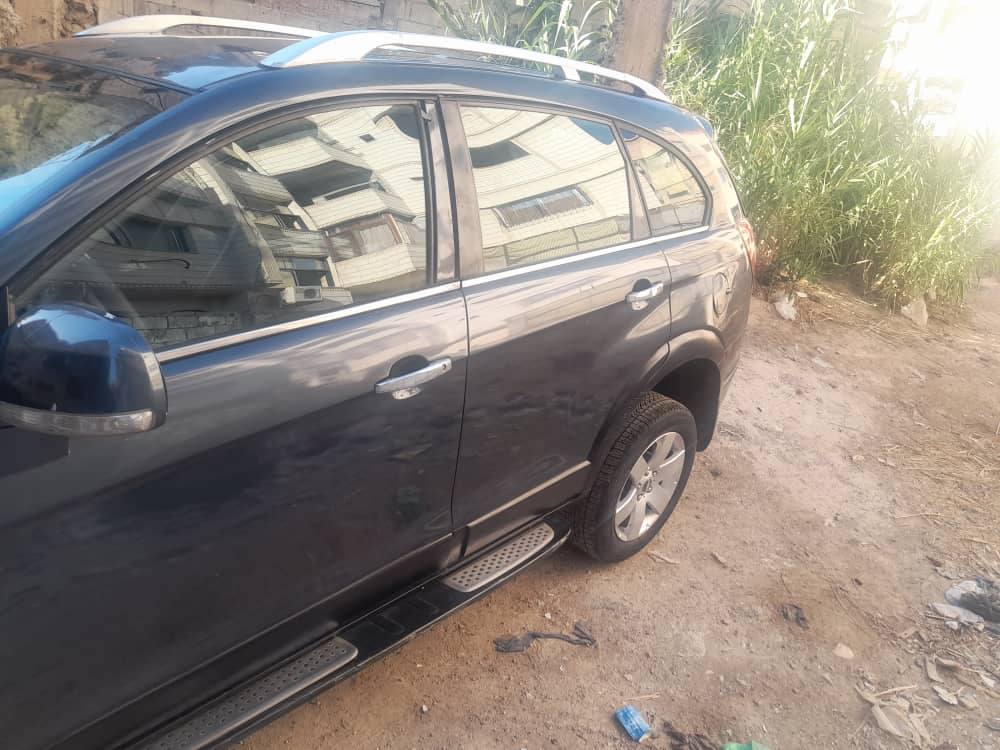 شفر كتكافيا 2008 - صورة 1