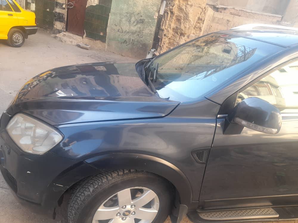 شفر كتكافيا 2008 - صورة 2