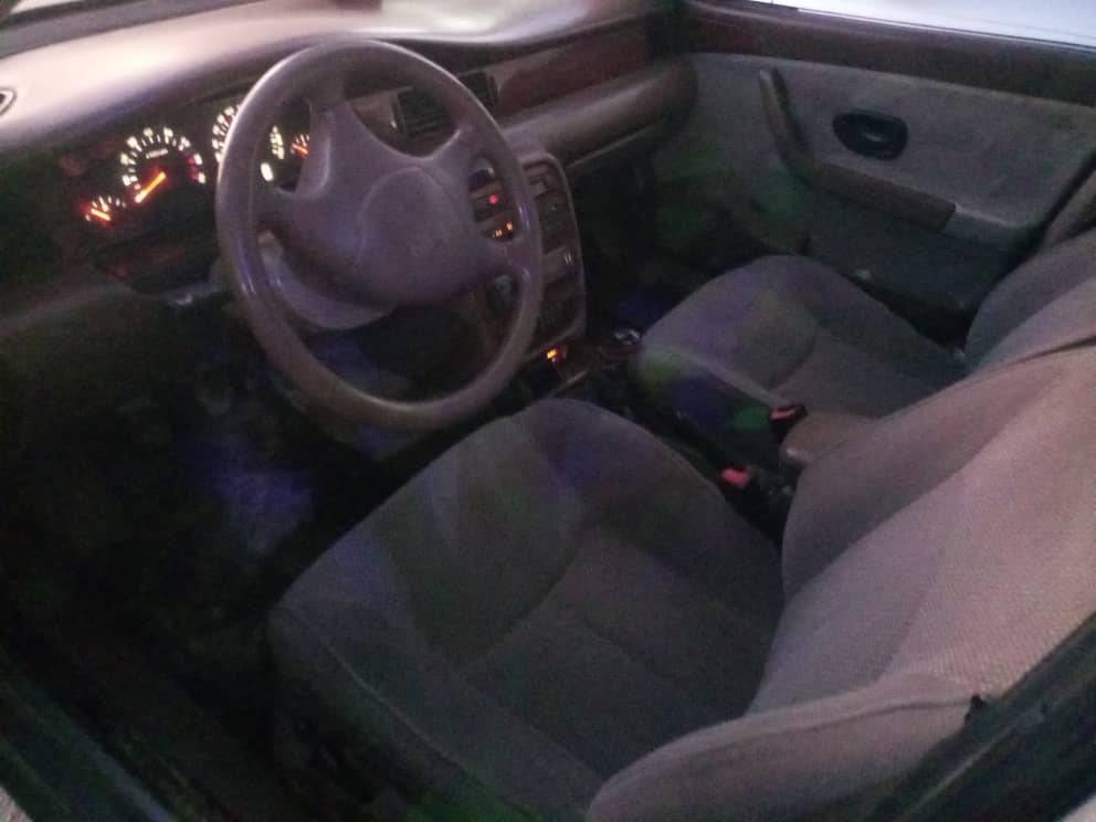 شام شام 2008 - صورة 3