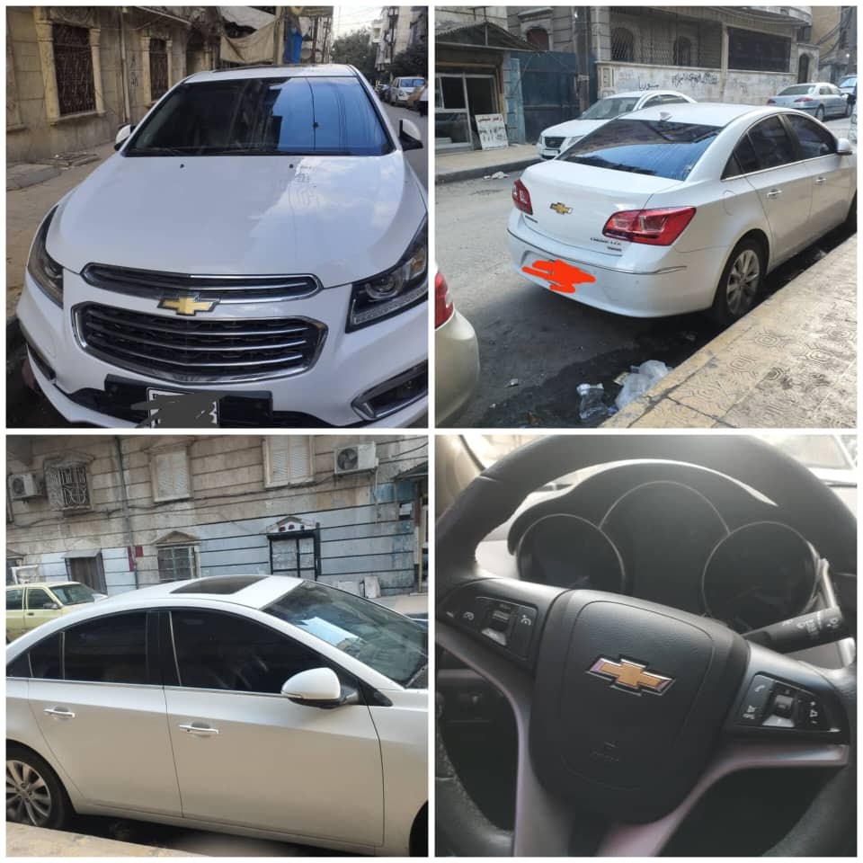 شفر كروز 2016