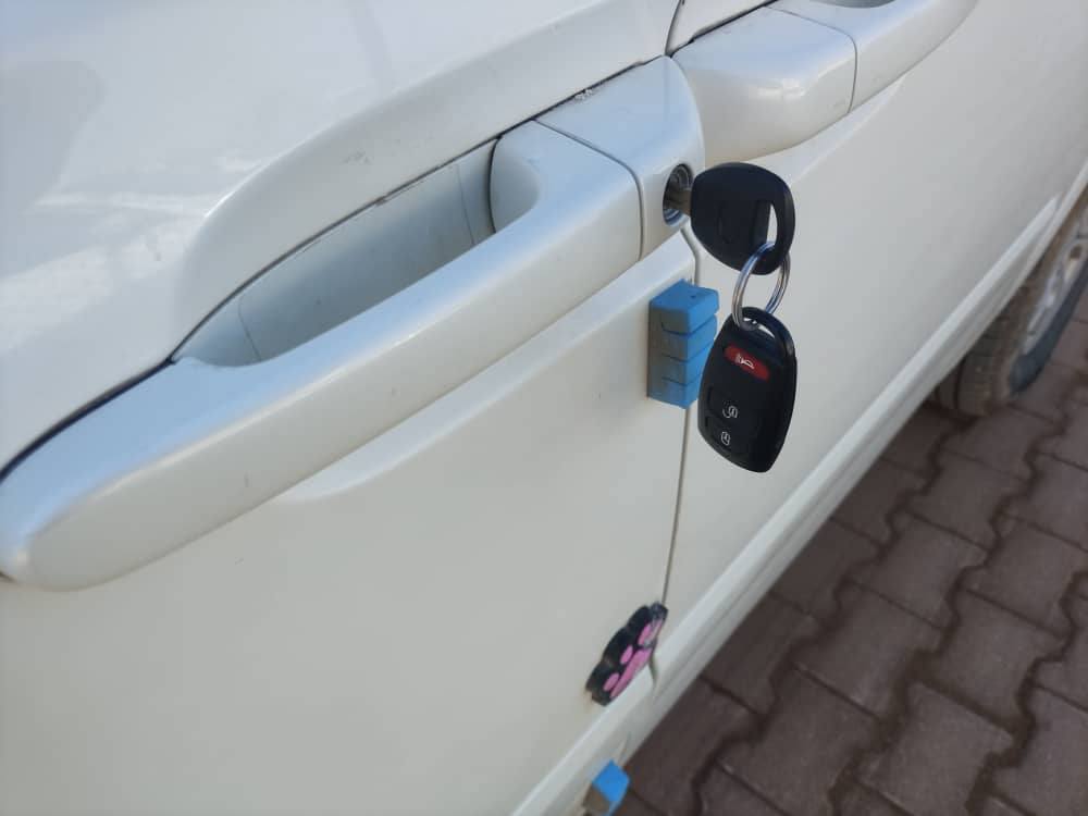 كيا كرنفال 2010 - صورة 3