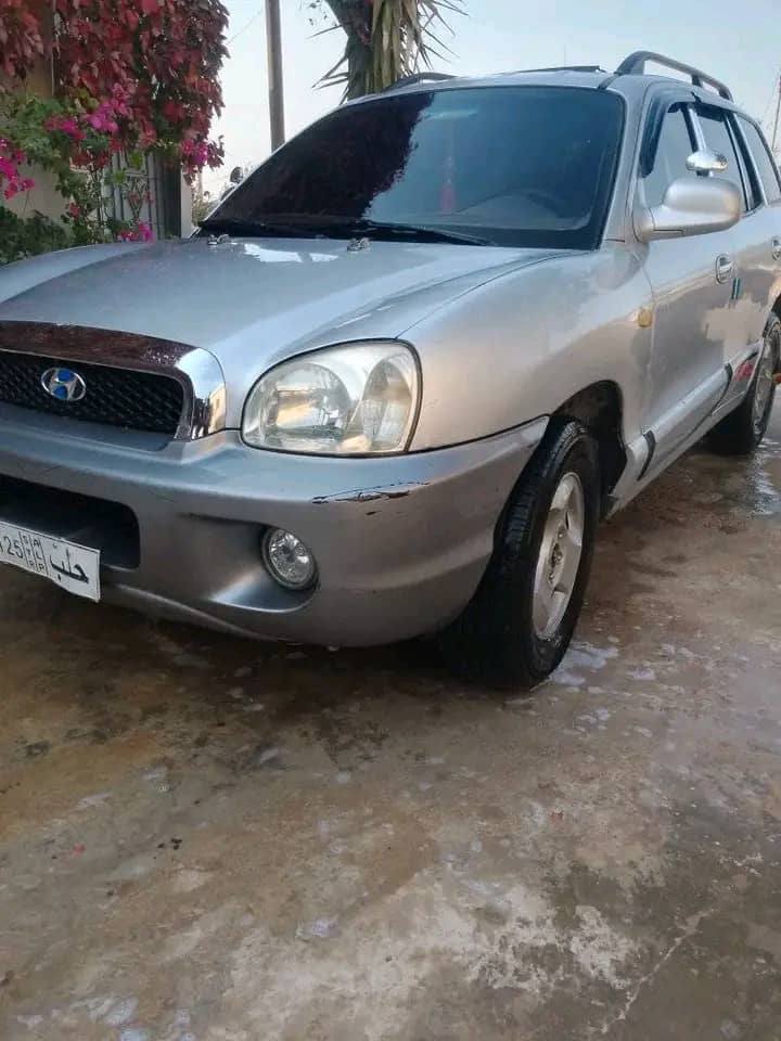 هيونداي سانتافي 2004 - صورة 2