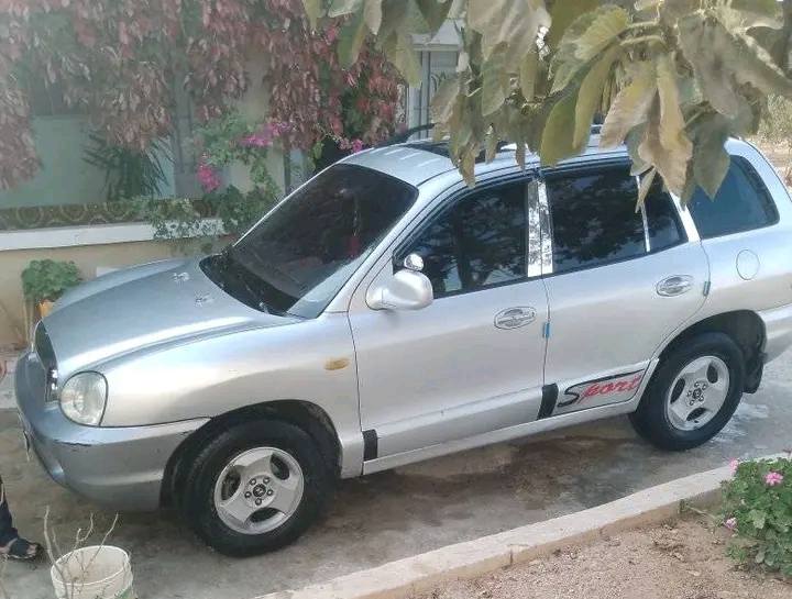 هيونداي سانتافي 2004 - صورة 3