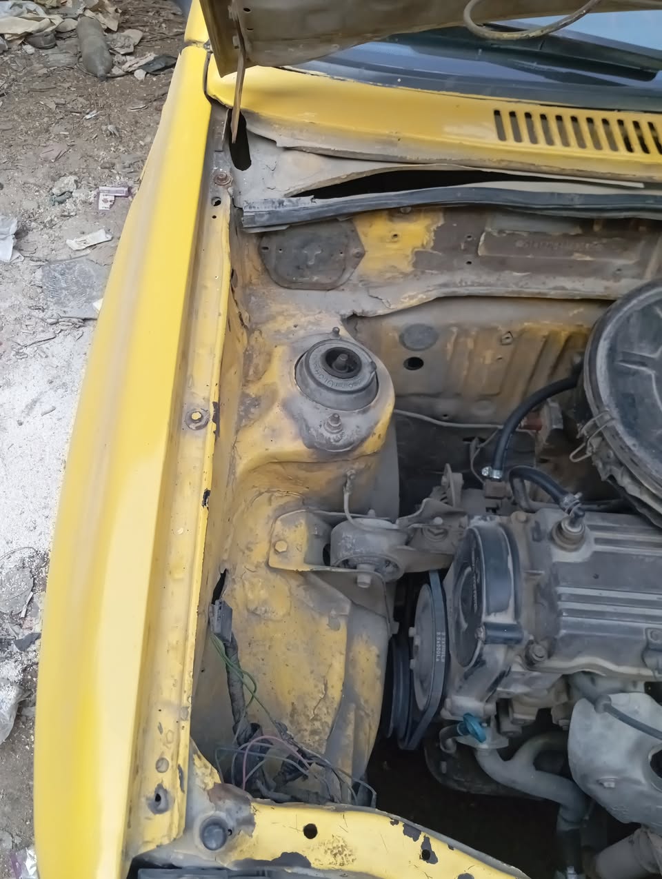 سابا سابا 2003 - صورة 1