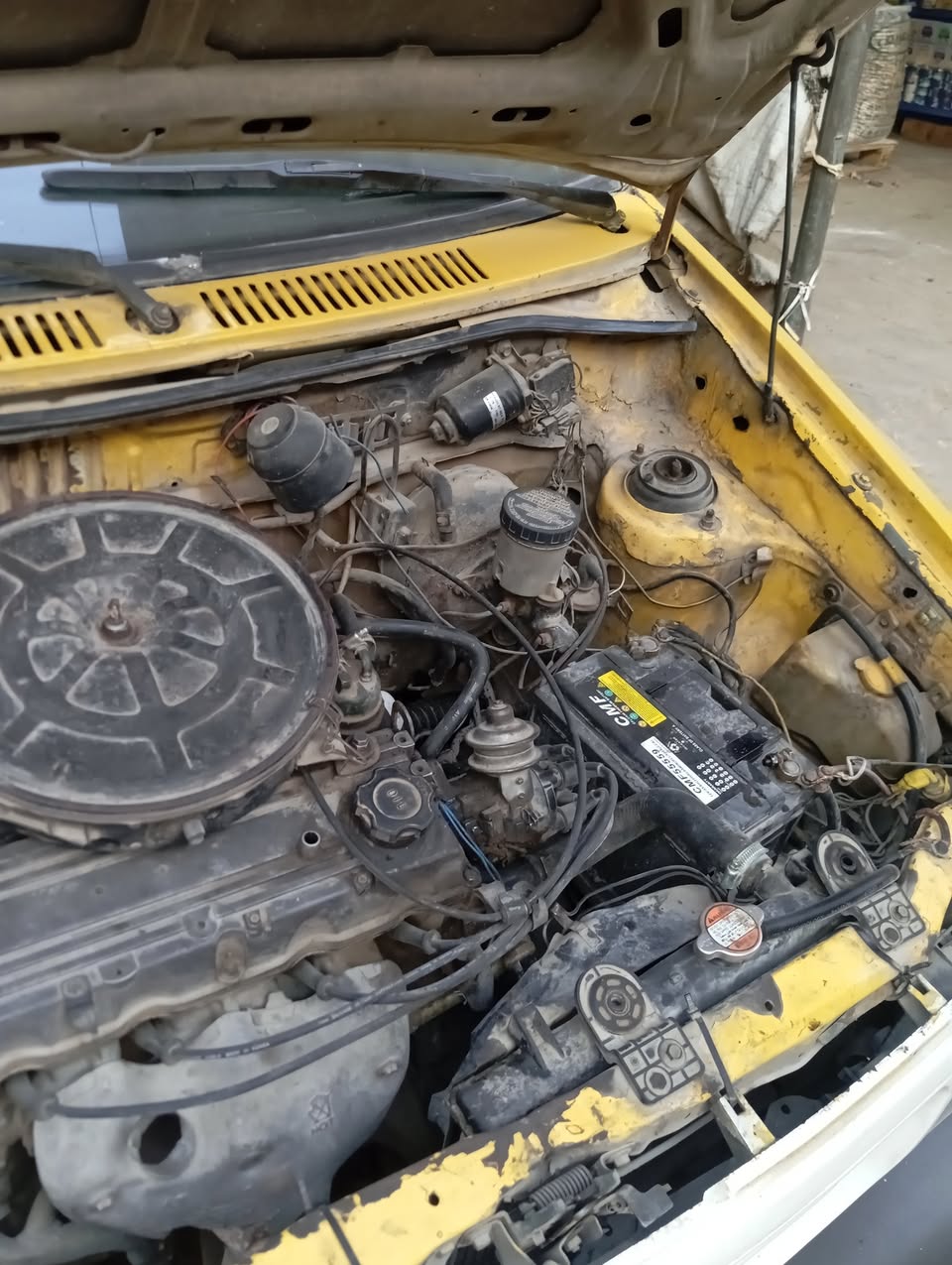 سابا سابا 2003 - صورة 2