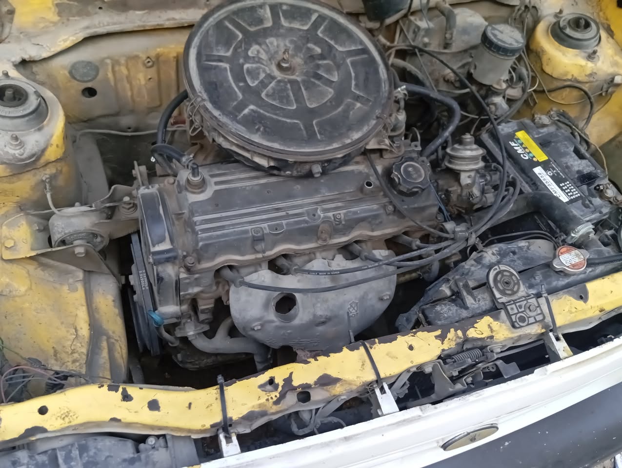 سابا سابا 2003 - صورة 3