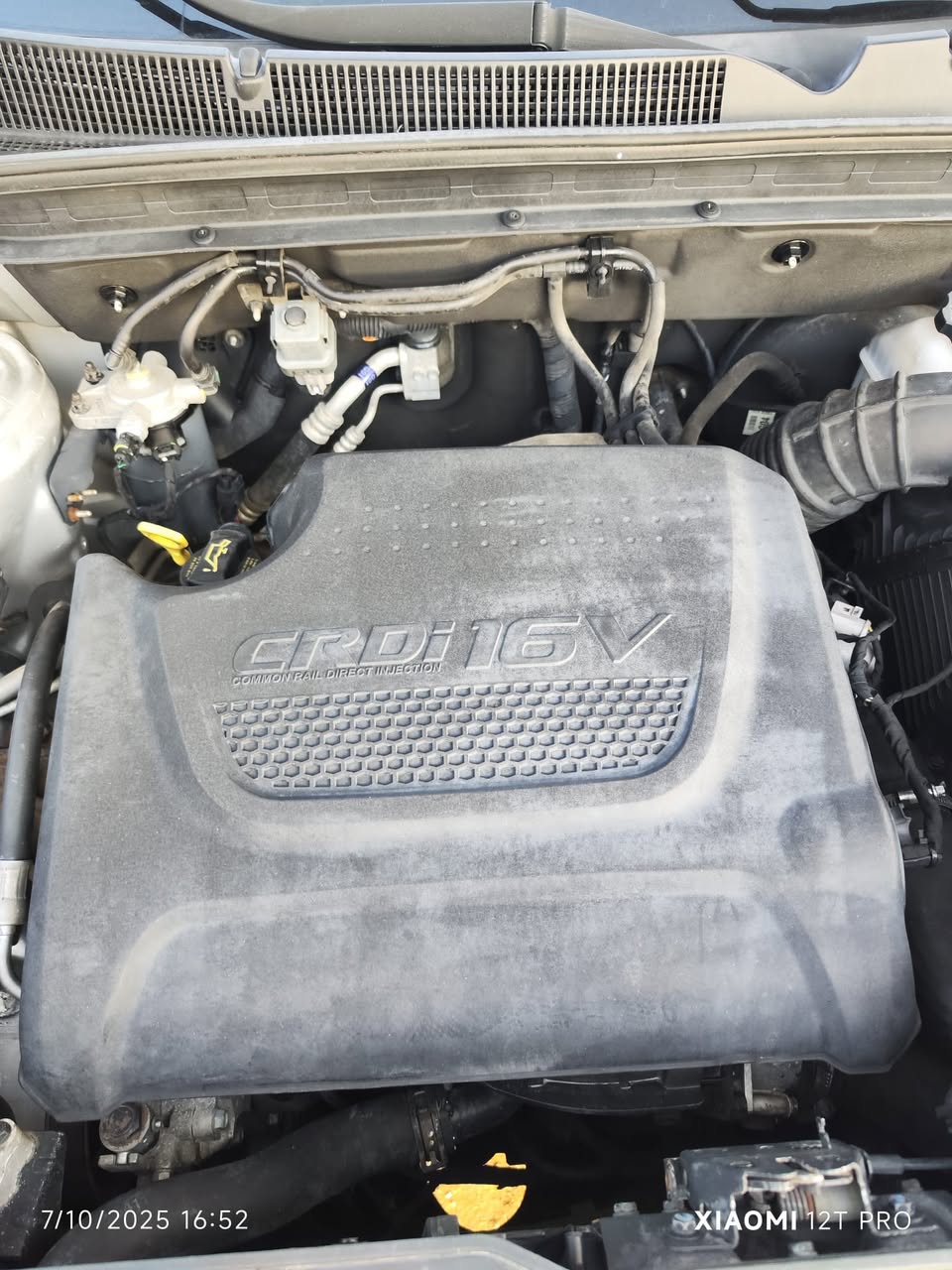 كيا سيرانتو 2010 - صورة 5