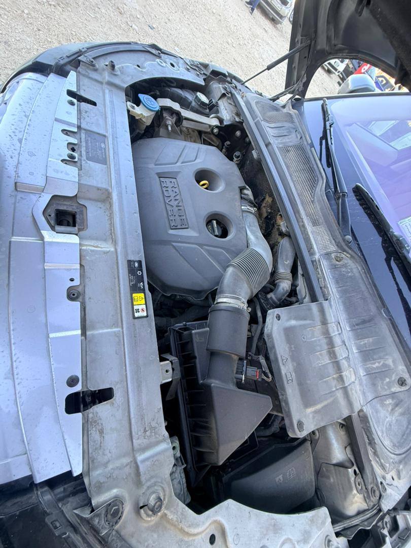 لاند روفر ايفوك 2012 - صورة 3