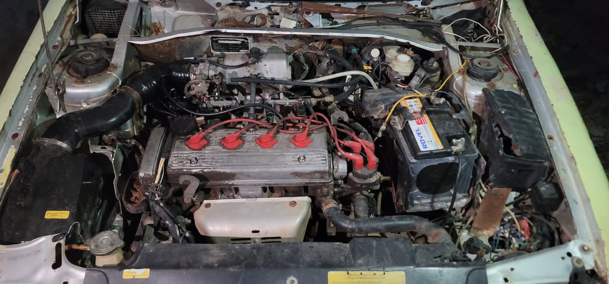 مابل مابل 2004 - صورة 2