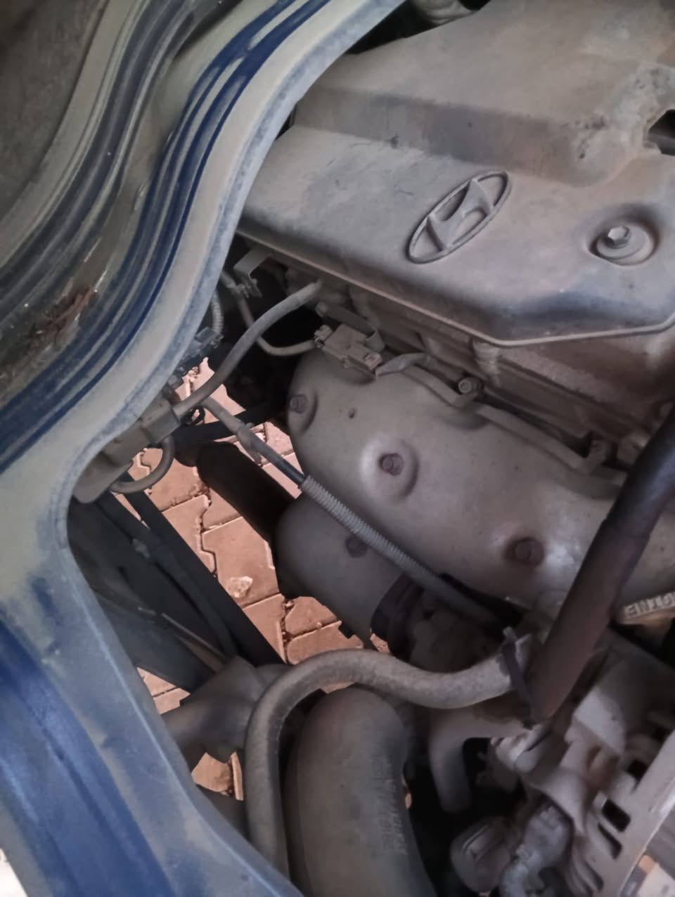 هيونداي بورتر 2007 - صورة 2