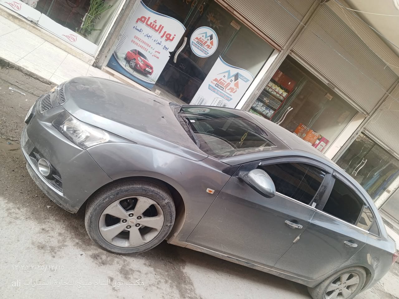 شفر كروز 2011 - صورة 2