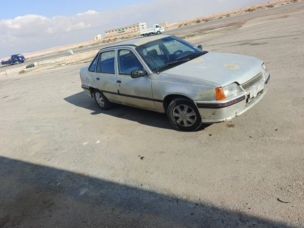 دايو رايسر 1993