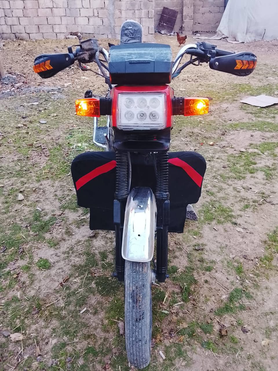 دلتا بيتي هوند 2018 - صورة 1