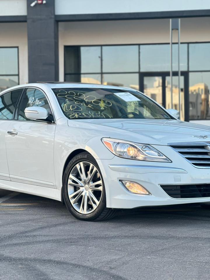 HOYNDI GENESIS 2013 - صورة 3