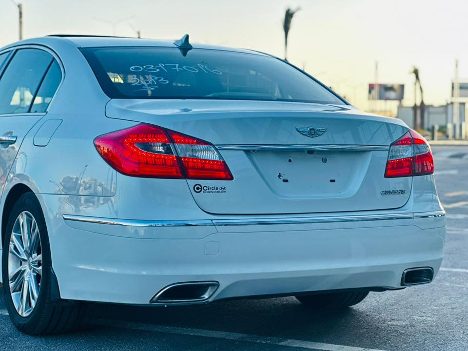 HOYNDI GENESIS 2013 - صورة 5