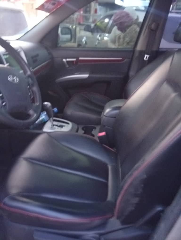 سيام سيام 2006 - صورة 5