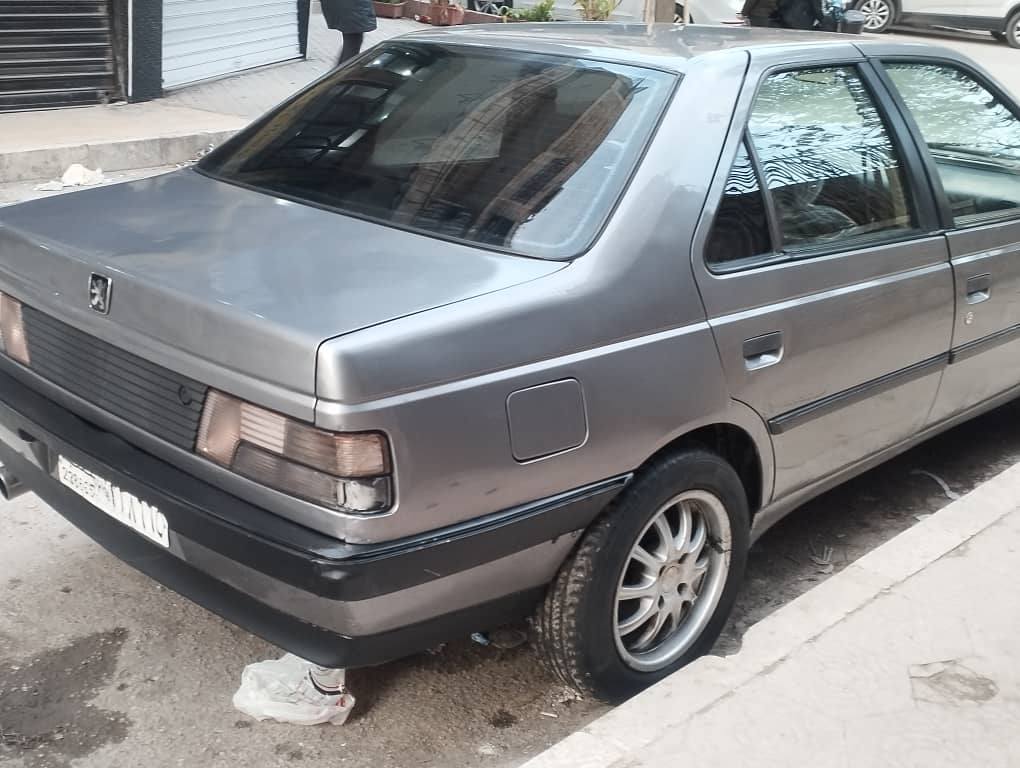 بيجو روى 2008 - صورة 2