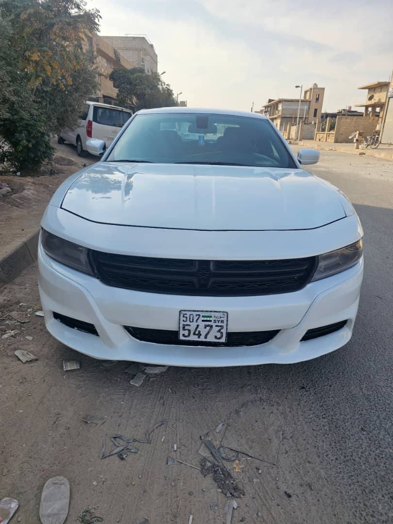 دوج كرت 2015 - صورة 1