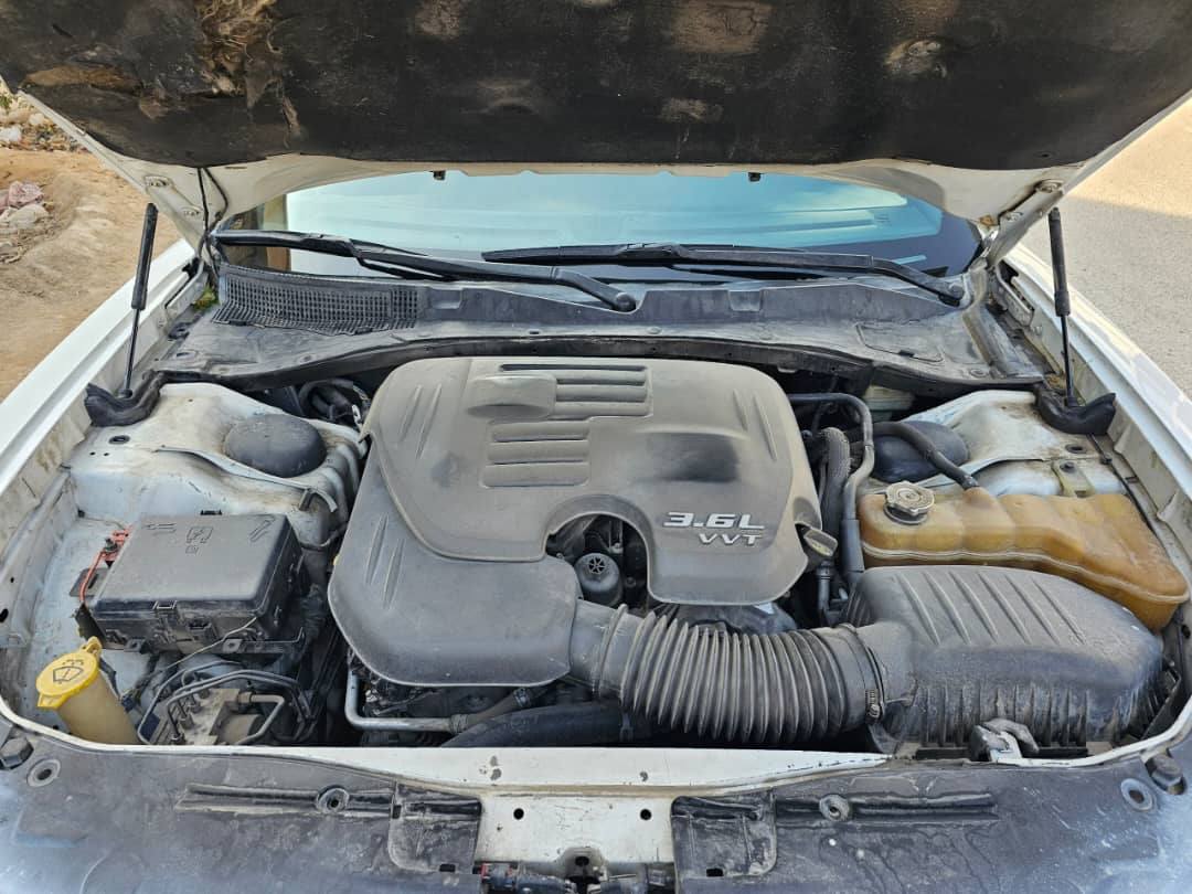 دوج كرت 2015 - صورة 2