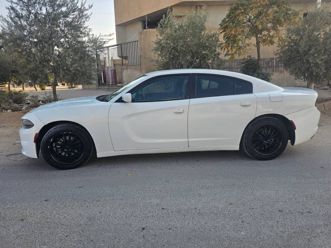 دوج كرت 2015 - صورة 4