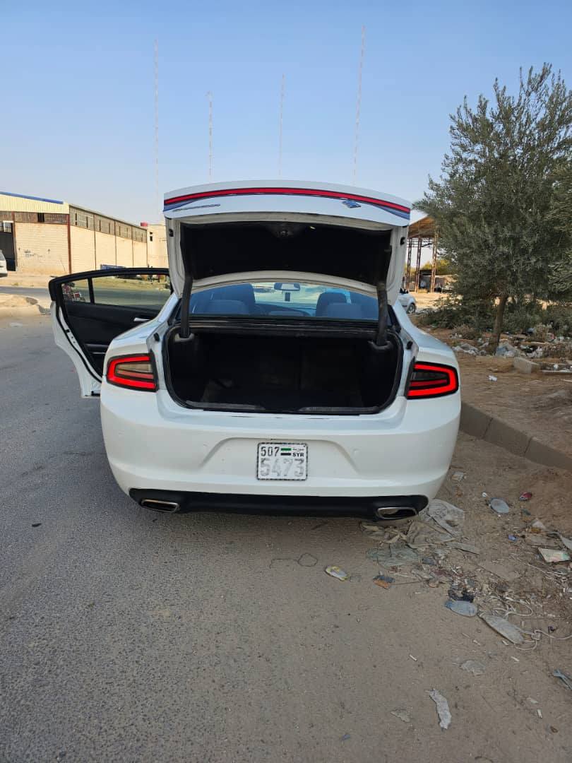 دوج كرت 2015 - صورة 5