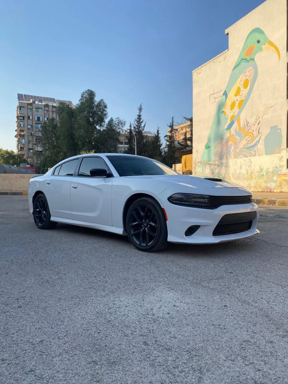دودج تشارجر 2020 - صورة 1