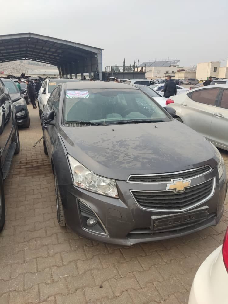 شفر كروز 2014