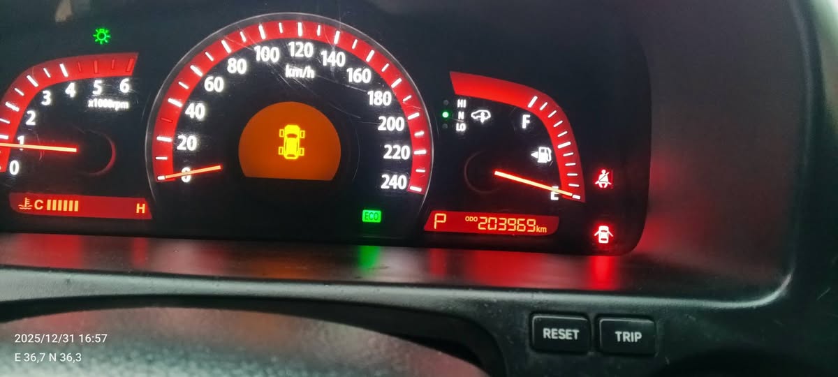 موهآفي موهآفي 2013 - صورة 2