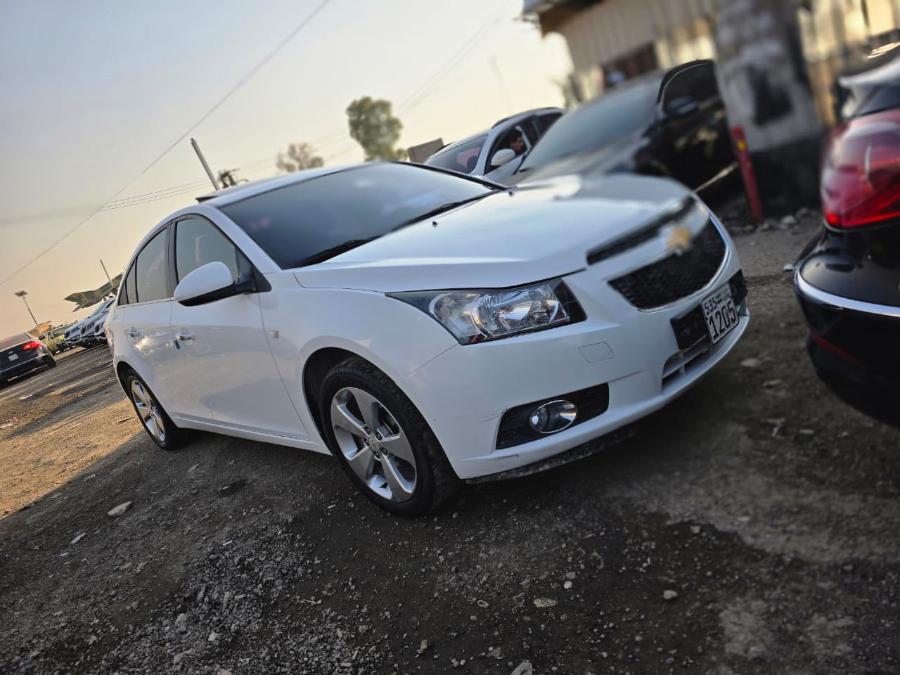 شفر كروز 2012 - صورة 2