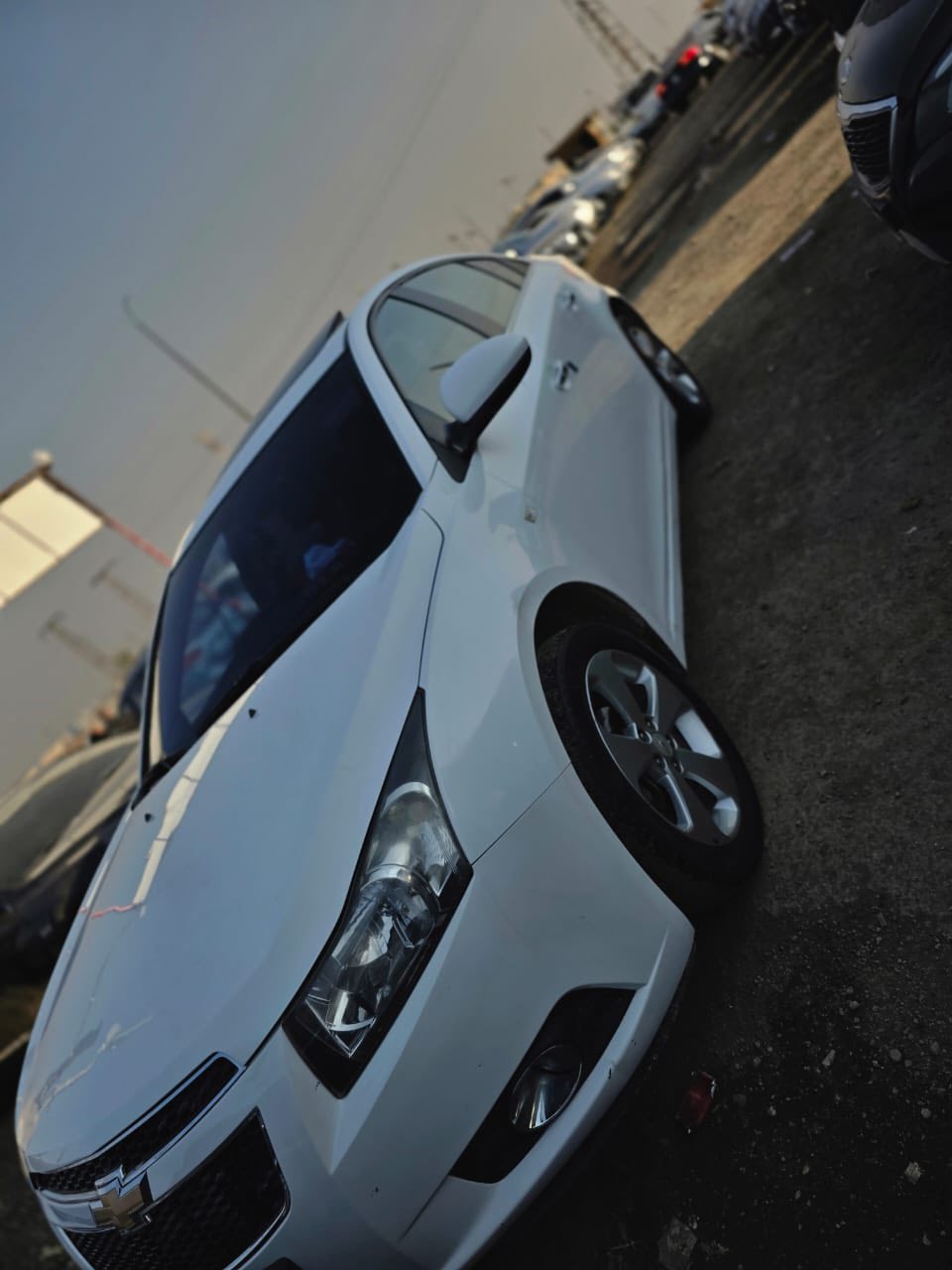 شفر كروز 2012 - صورة 3