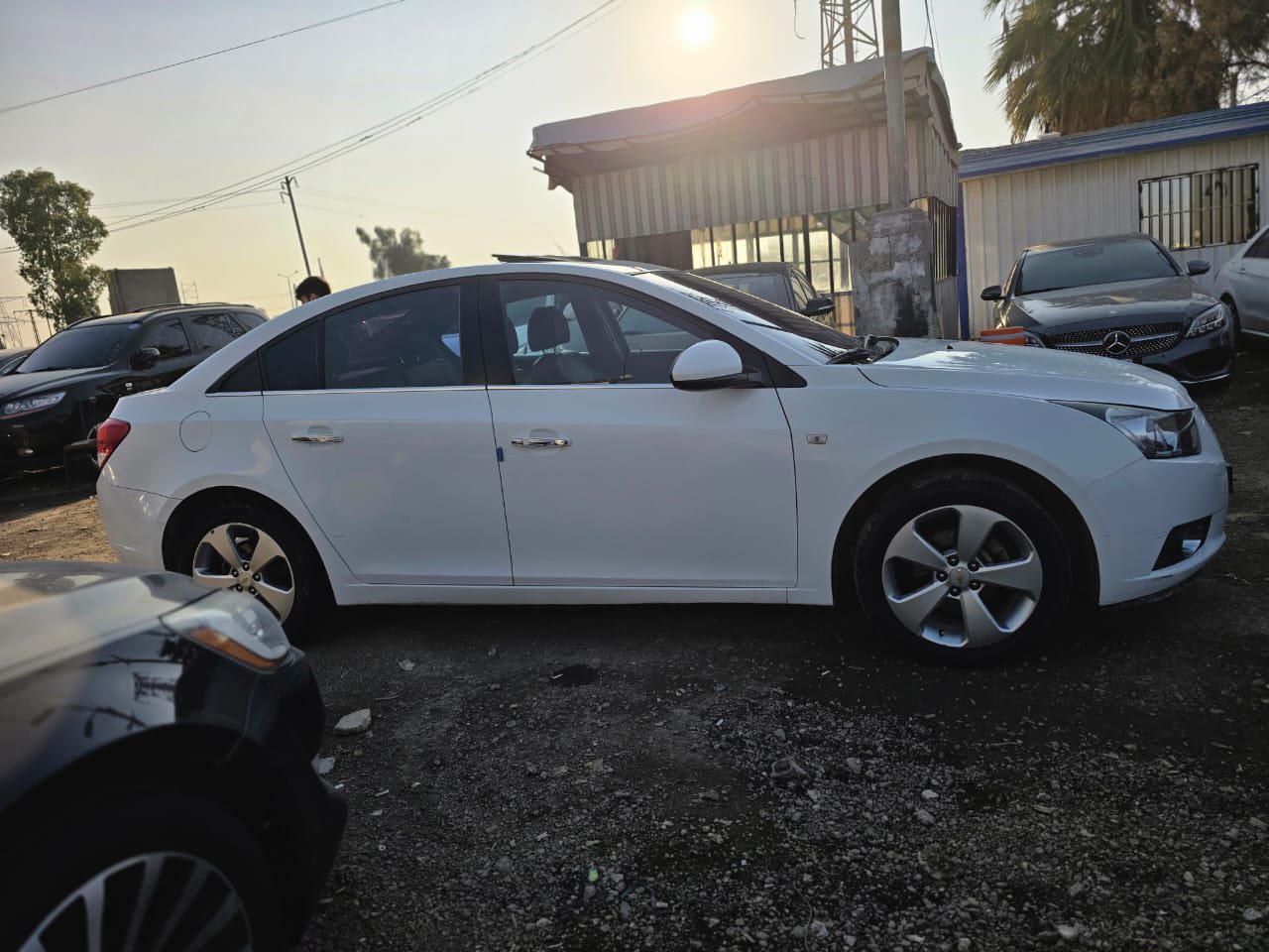 شفر كروز 2012 - صورة 5