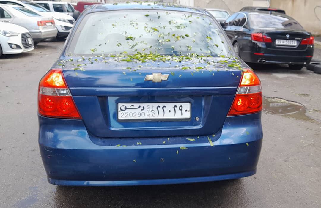 شفر افيو 2006 - صورة 3