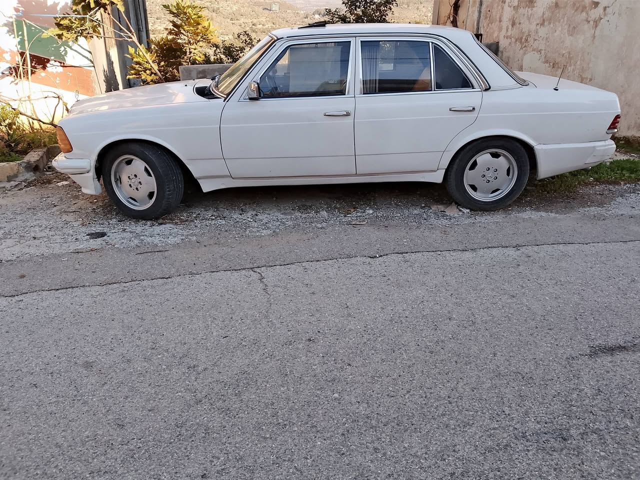 مرسيدس ٢٣٠ 1983 - صورة 2