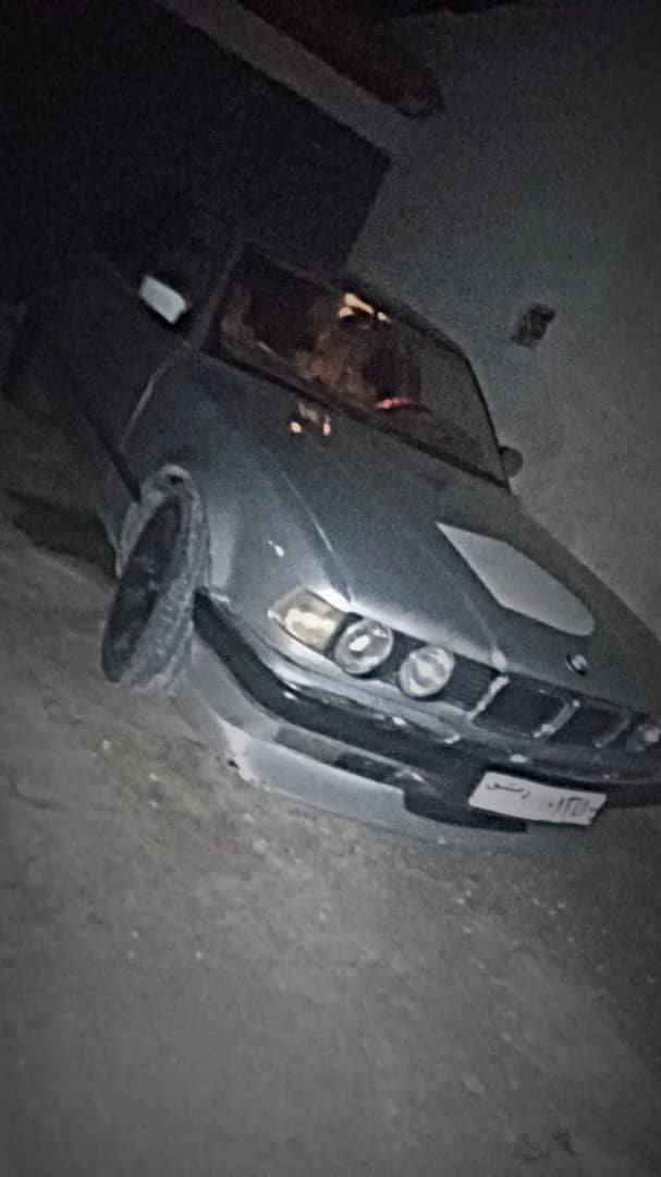 بي ام دبليو ٧٣٠ 1993 - صورة 2