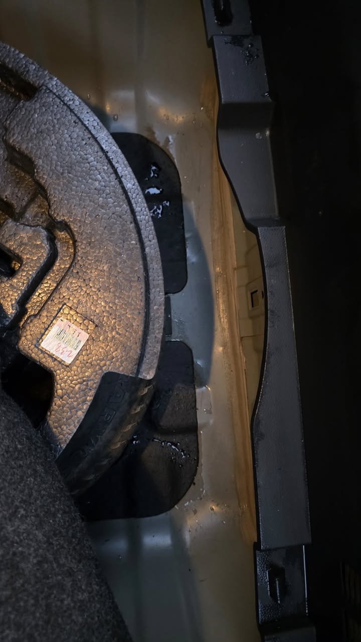 هوندا ازيرا اوربي 2011 - صورة 2