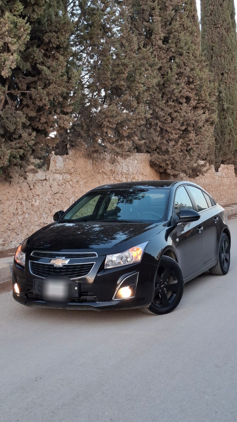 شفر كروز 2013