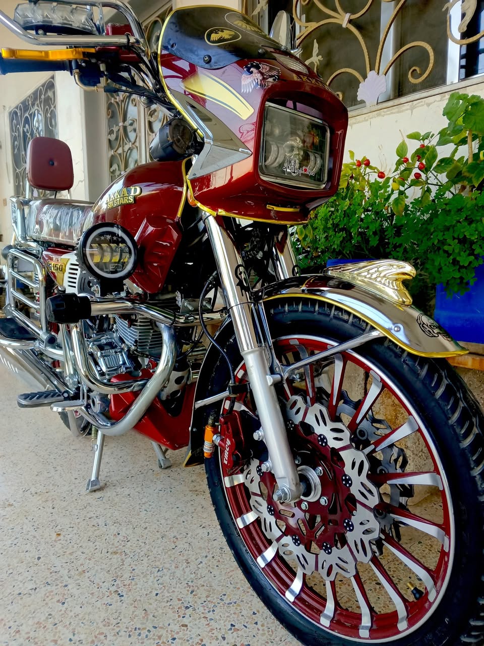 عقاد سكس ستار 2025 - صورة 2