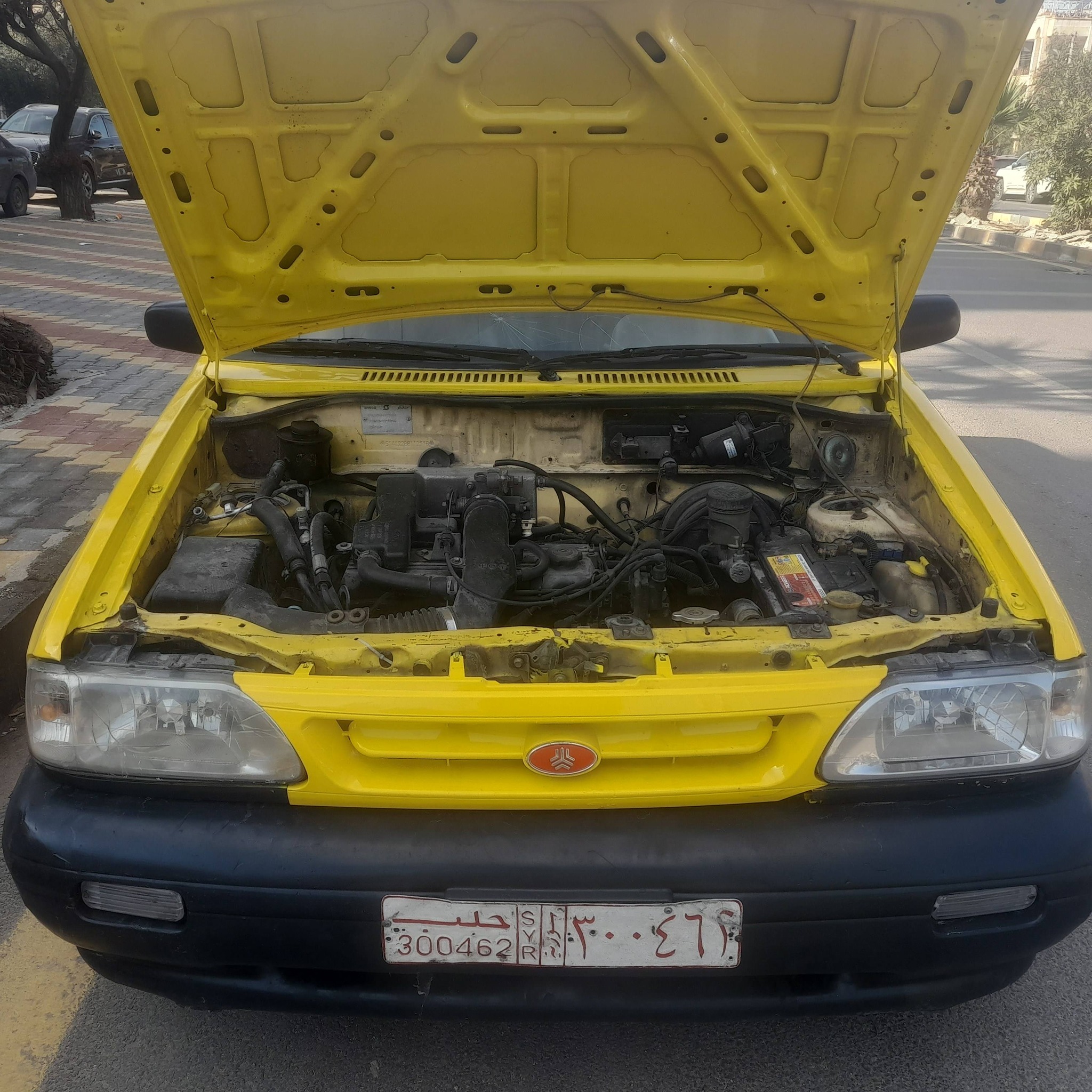 صبا صبا 2010 - صورة 1