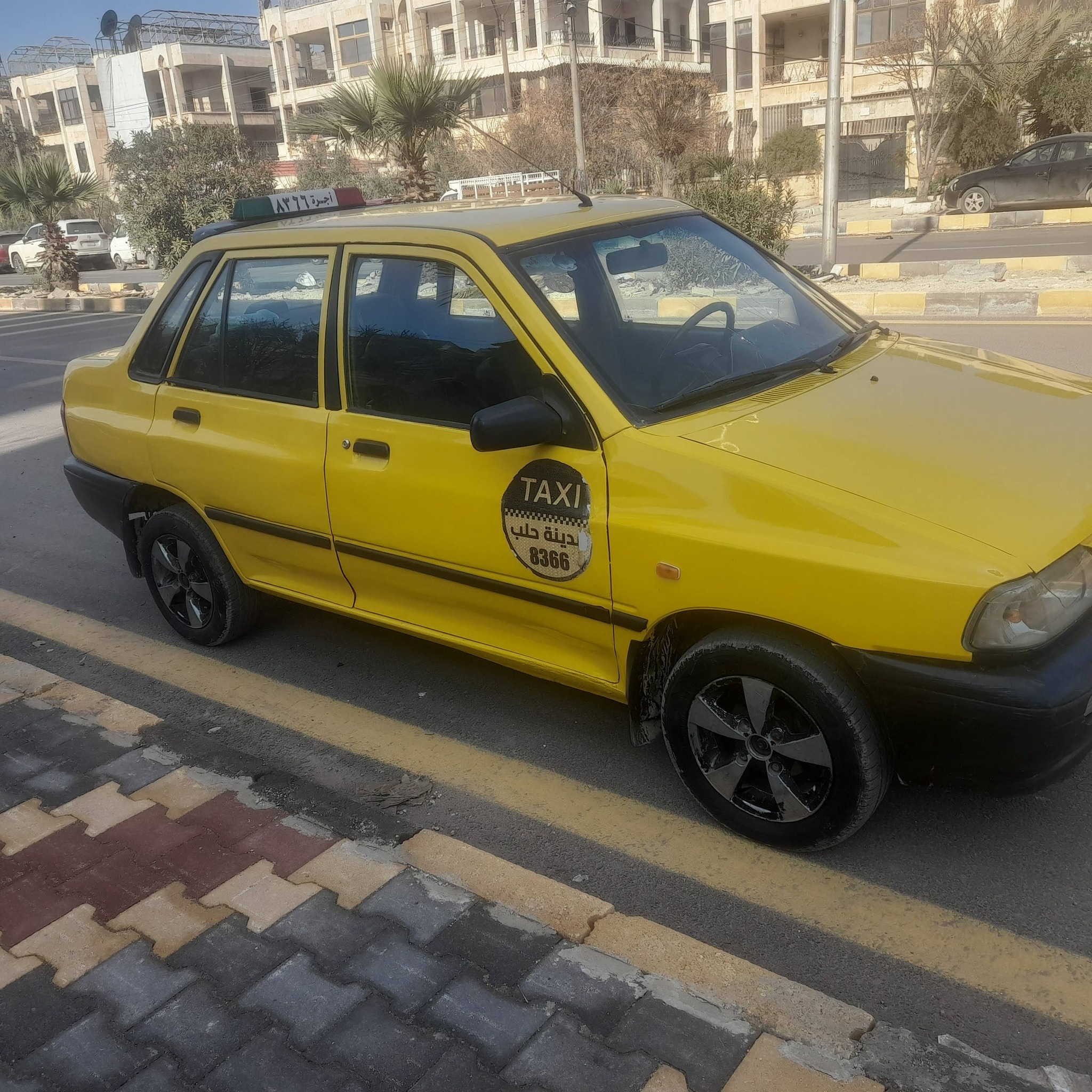 صبا صبا 2010 - صورة 4