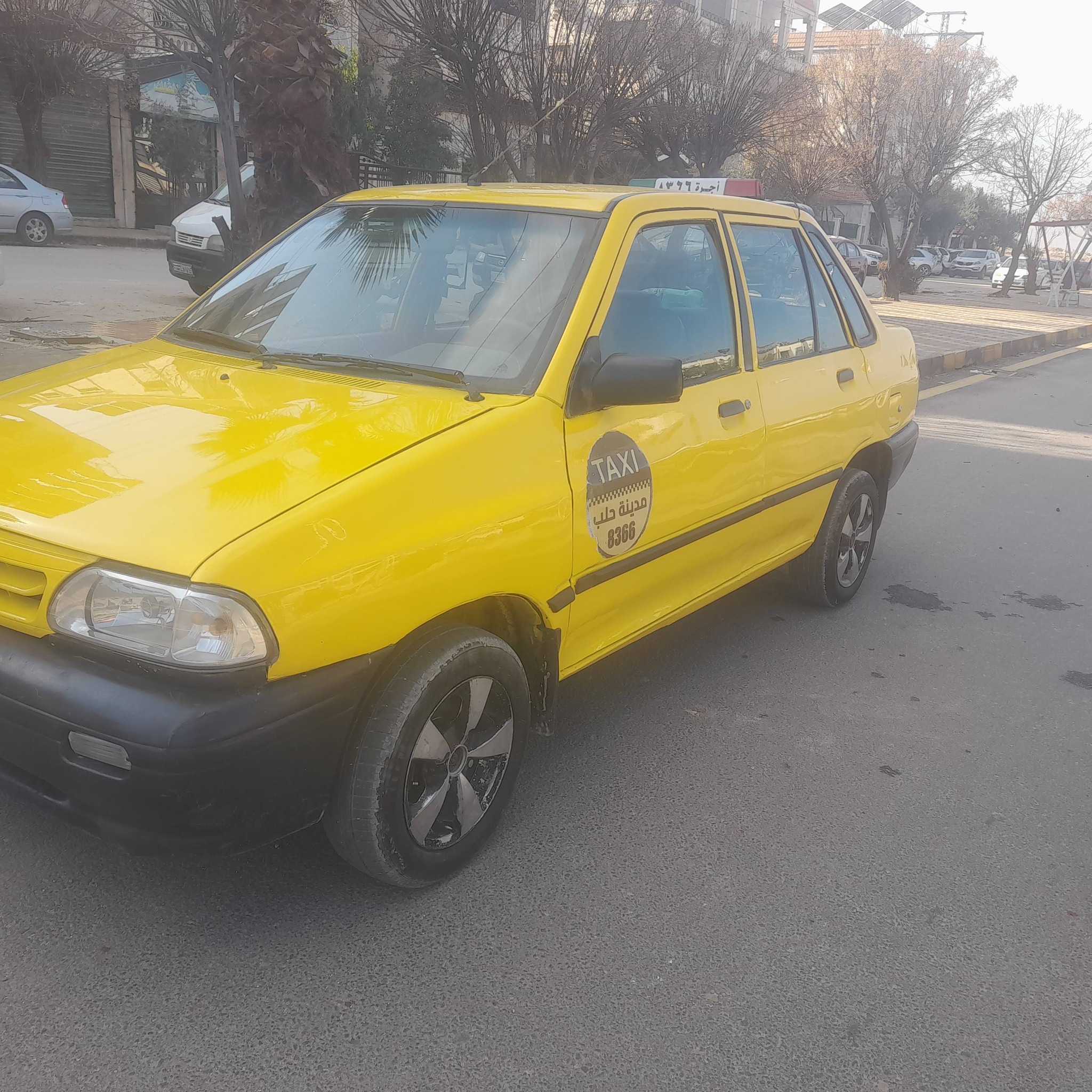 صبا صبا 2010 - صورة 5