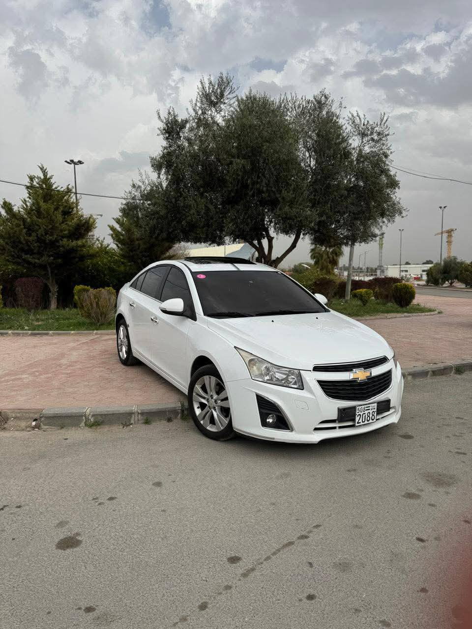 شفر كروز 2014 - صورة 1