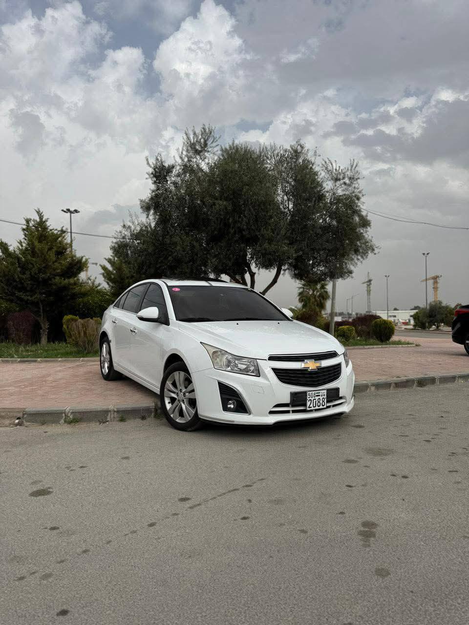 شفر كروز 2014 - صورة 3