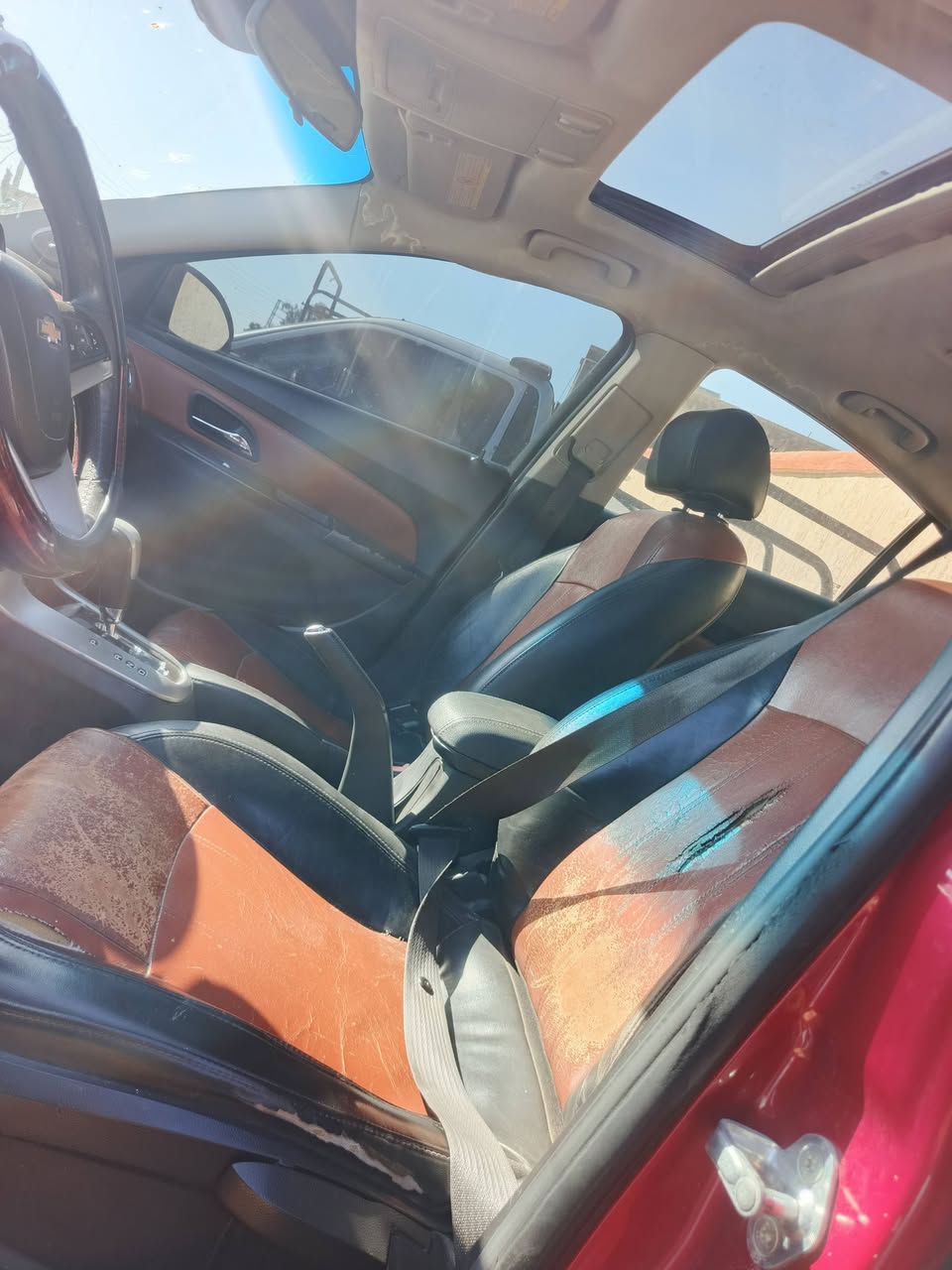 شفر كروز 2011 - صورة 4