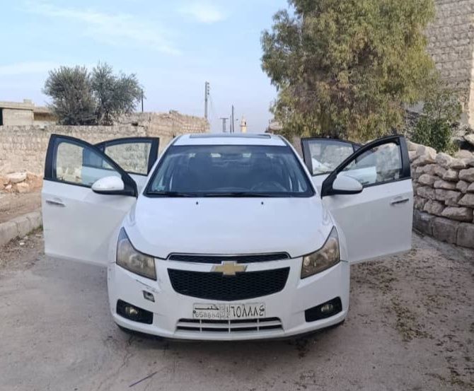 شفر كروز 2010