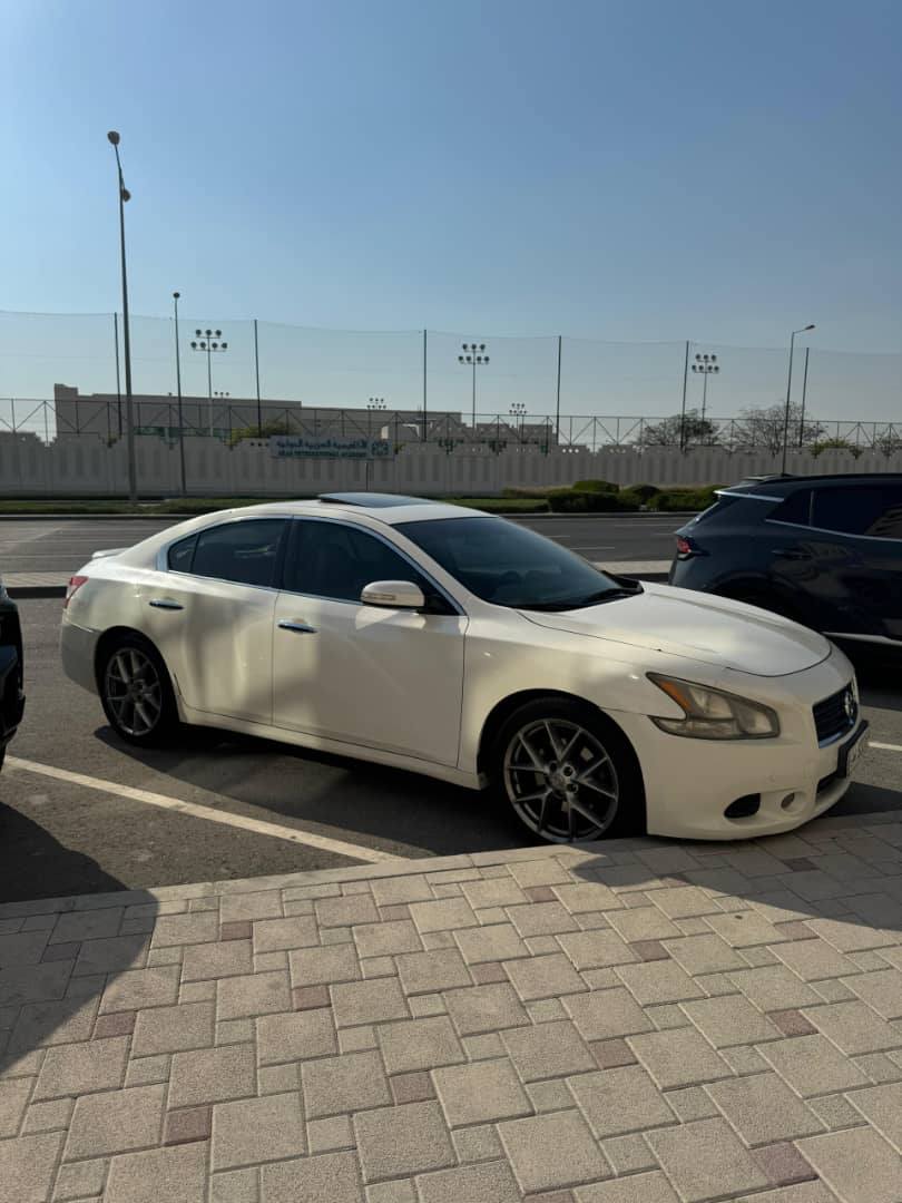 نيسان مكسيما 2011 - صورة 2