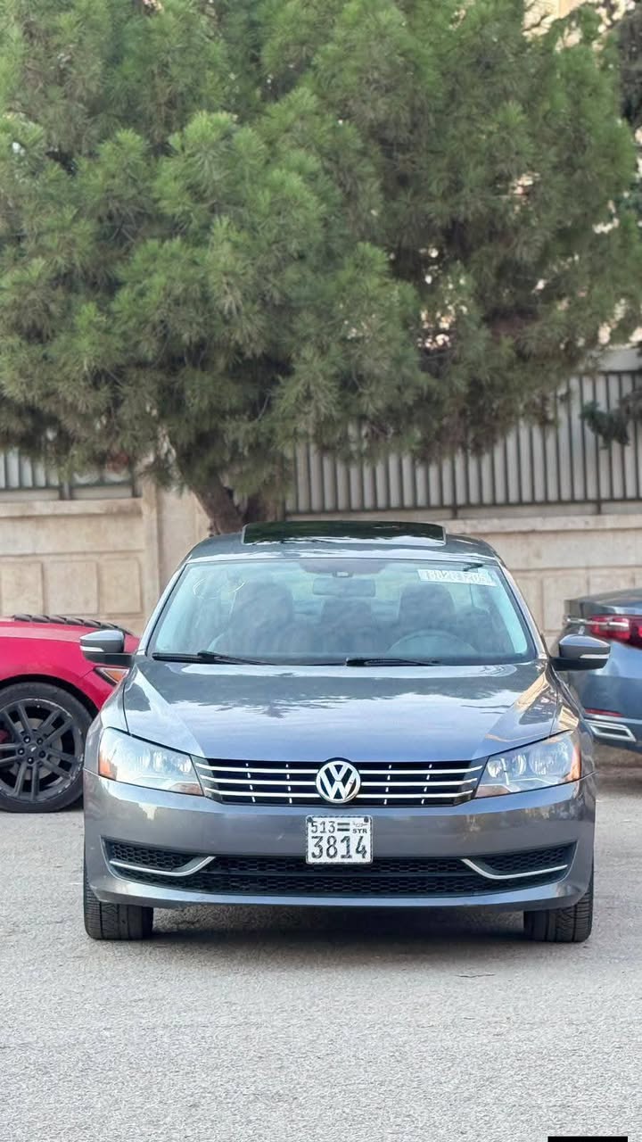 فوكس باسات 2013 - صورة 1