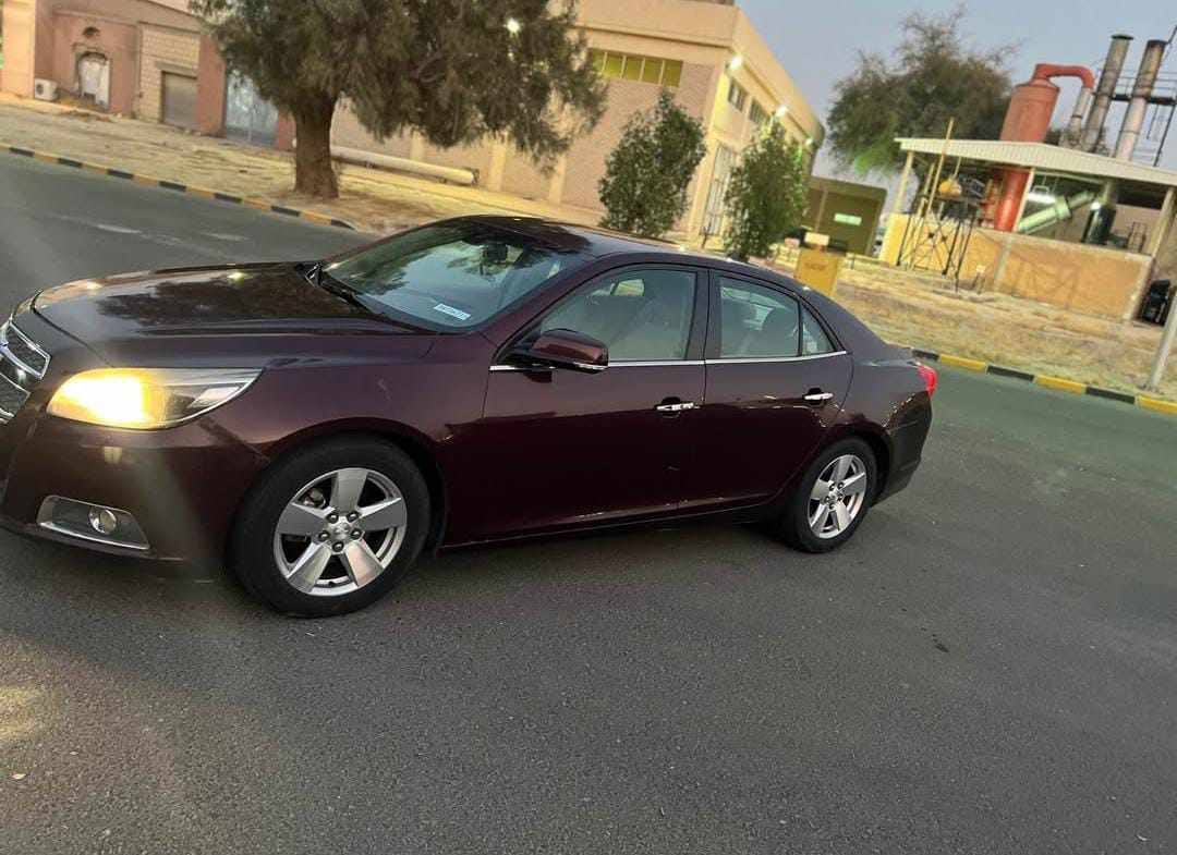 شفر ماليبو 2013 - صورة 1